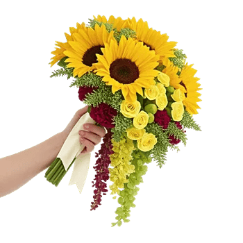 Radiant Bloom Cascade