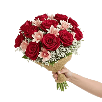 Crimson Rose Elegance