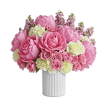 Petal Radiance Bliss