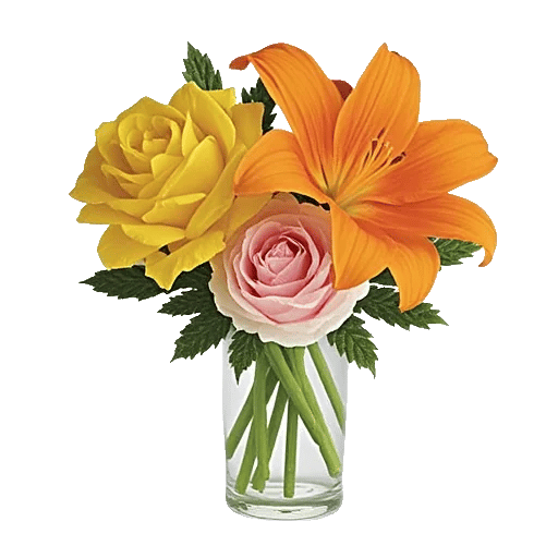 Petal Radiance Bliss