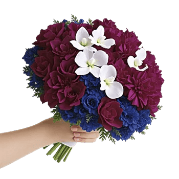 Sapphire Bloom Whisper