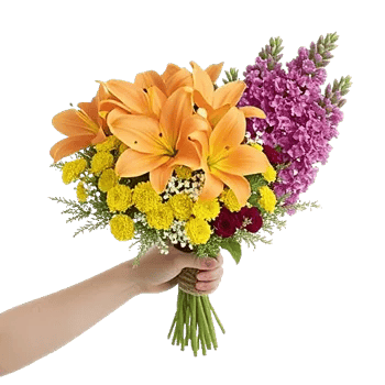Petal Harmony Bliss