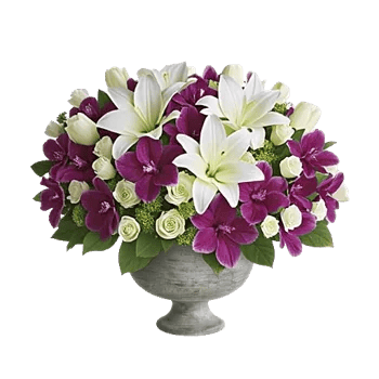 Modern White Orchids