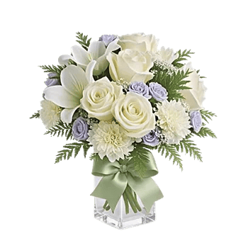 Ivory Blossom Radiance