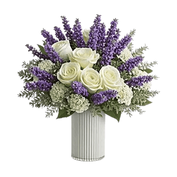 Lavender Bloom Grace