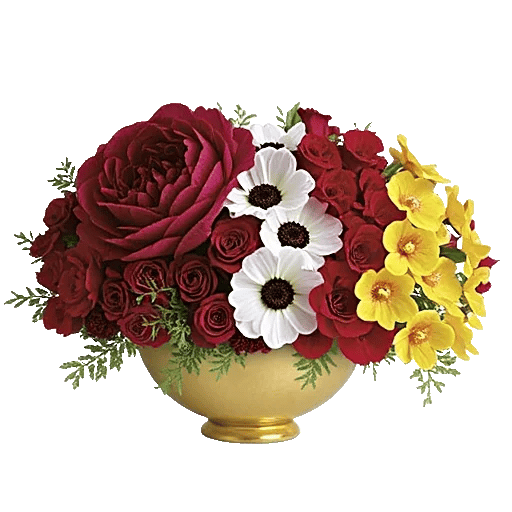 Petal Radiance Bliss