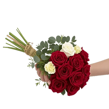 Crimson Rose Elegance