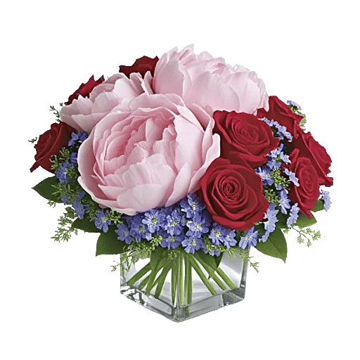 Petal Radiance Bliss