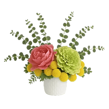 Petal Radiance Bliss