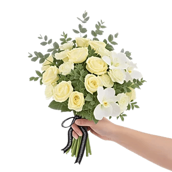 Ivory Garden Grace
