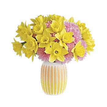 Petal Radiance Bliss