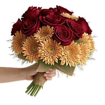 Crimson Rose Elegance