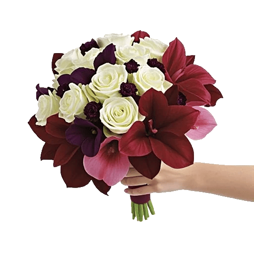 Blushing Rose Symphony