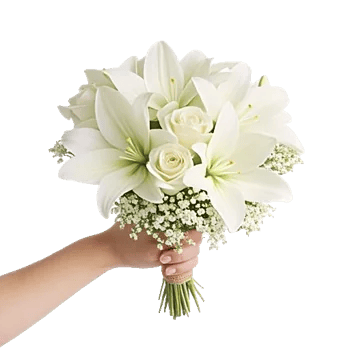 Ivory Blossom Radiance