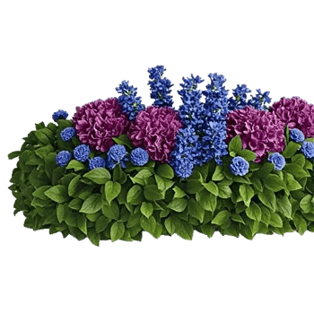 Delicate Petal Cascade