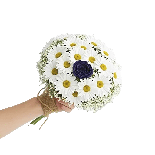 Daisy Meadow Spread