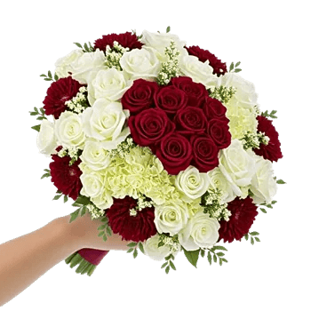 Blushing Rose Symphony