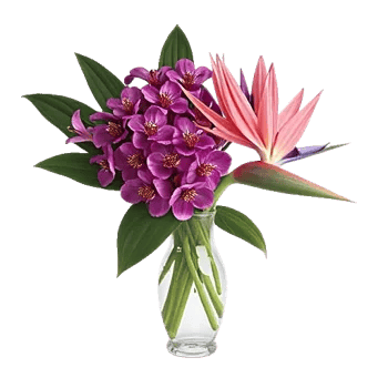 Orchid Bloom Cascade