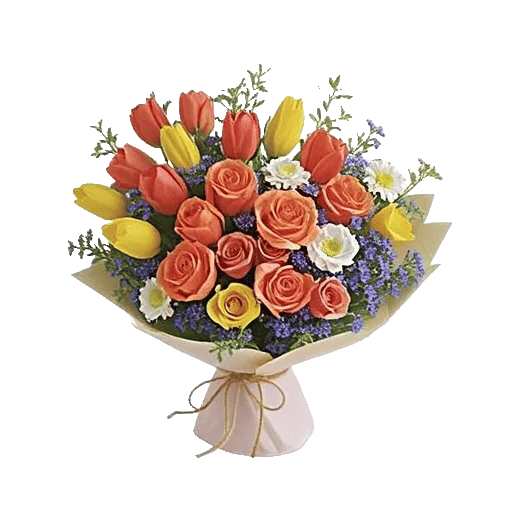 Coral Blossom Harmony