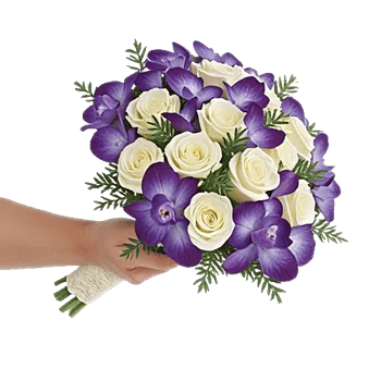 Ivory Garden Grace