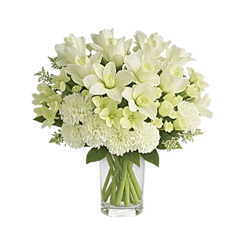 Ivory Blossom Radiance