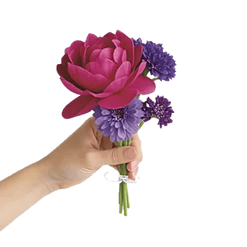 Peony Petal Harmony