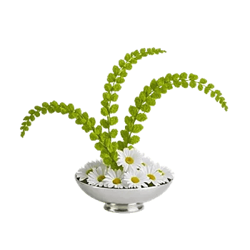 Ivory Blossom Radiance