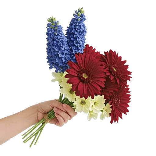 Serenity Blossom Grace