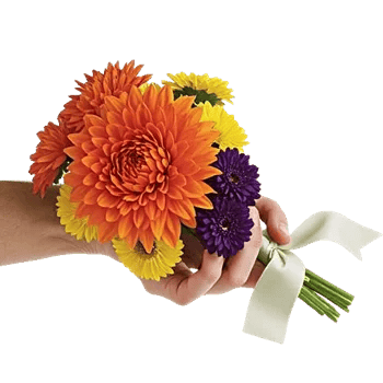 Radiant Bloom Cascade