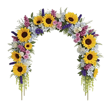 Twinkling Sunflower Dance
