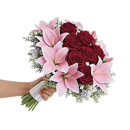 Crimson Rose Elegance