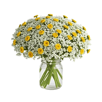 Blossom Radiant Whisper