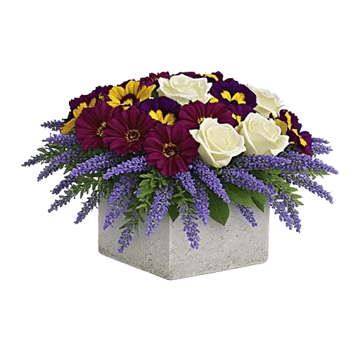 Petal Radiance Bliss