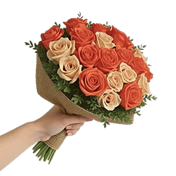 Blushing Rose Symphony