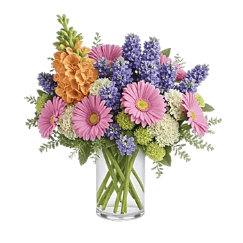 Blossom Petal Serenity