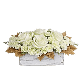 Delicate Petal Cascade