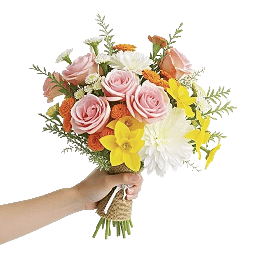 Blushing Rose Symphony