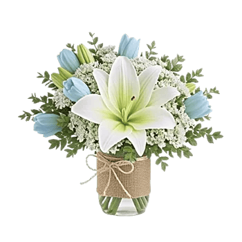 Graceful Lily Display