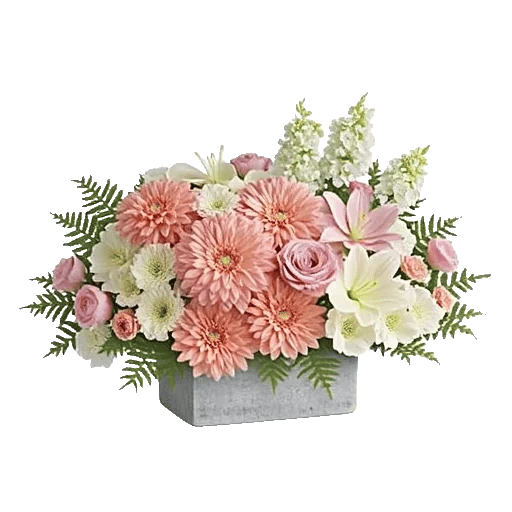 Delicate Petal Cascade