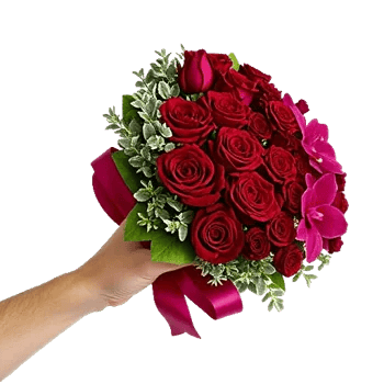 Crimson Rose Elegance