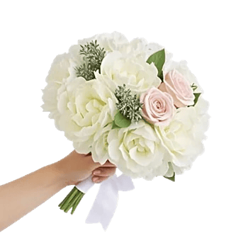 Serene Petal Harmony