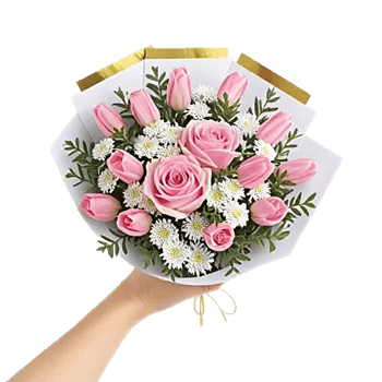 Blushing Rose Symphony