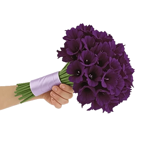 Petal Softness Display