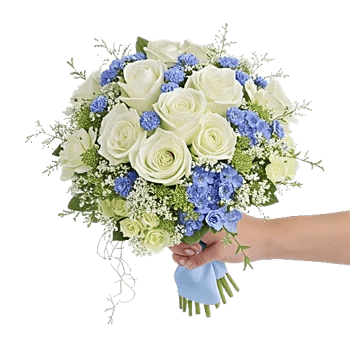 Serene Petal Harmony