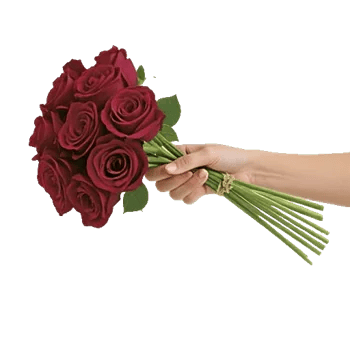 Crimson Rose Elegance