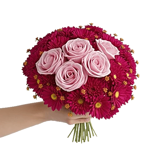 Blushing Rose Symphony