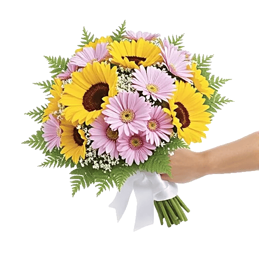 Twinkling Sunflower Dance