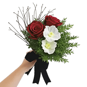 Crimson Rose Elegance