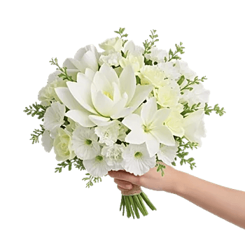 Minimalist White Orchids