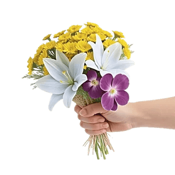 Blossom Harmony Display